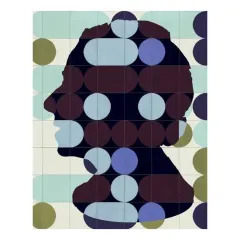 Coperta cărții India Mahdavi Slipcase