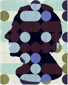 Coperta cărții India Mahdavi Slipcase