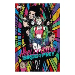 Coperta cărții Harley Quinn and the Birds of Prey