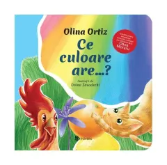 Coperta cărții Ce culoare are?