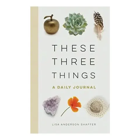 Coperta cărții These Three Things, Lisa Anderson Shaffer