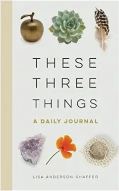 Coperta cărții These Three Things, Lisa Anderson Shaffer