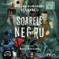 Coperta cărții Soarele negru (audiobook)