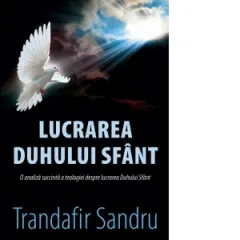 Coperta cărții Lucrarea Duhului Sfant. O analiza succinta a teologiei despre lucrarea Duhului Sfant