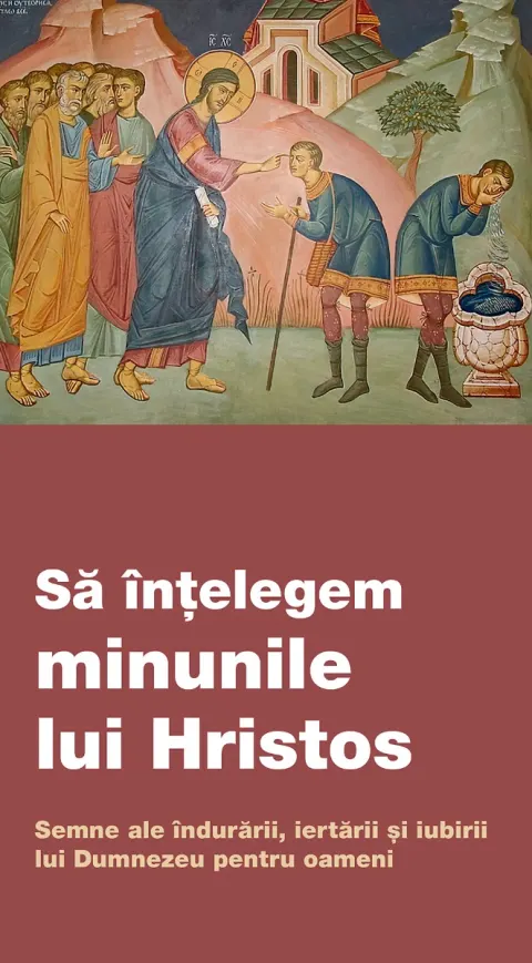 Coperta cărții Să înțelegem minunile lui Hristos. Semne ale îndurării, iertării și iubirii lui Dumnezeu pentru oameni