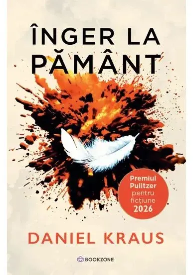 Coperta cărții Inger la pamant - Daniel Kraus