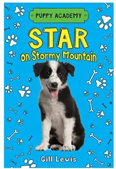 Coperta cărții Star on Stormy Mountain