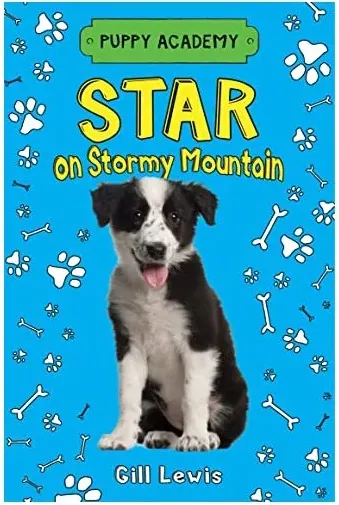 Coperta cărții Star on Stormy Mountain