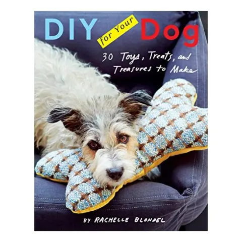 Coperta cărții DIY for your dog