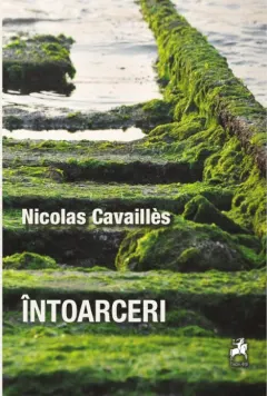Coperta cărții Întoarceri