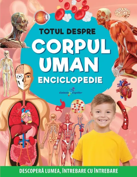 Coperta cărții Totul despre corpul uman