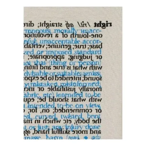 Coperta cărții Cornelia Parker
