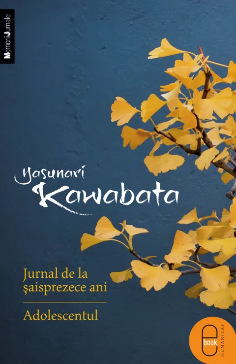 Coperta cărții Jurnal de la saisprezece ani. Adolescentul (epub)