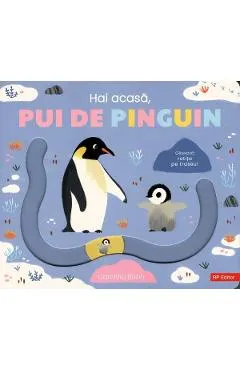Coperta cărții Hai acasa, pui de pinguin