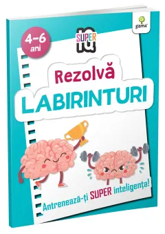 Coperta cărții Rezolva labirinturi