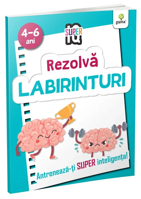 Coperta cărții Rezolva labirinturi