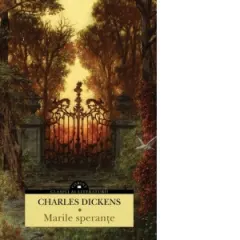 Coperta cărții Marile sperante