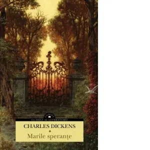 Coperta cărții Marile sperante