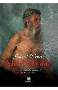 Coperta cărții Mei-nebunul