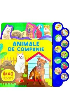 Coperta cărții Animale de companie. 10 sunete
