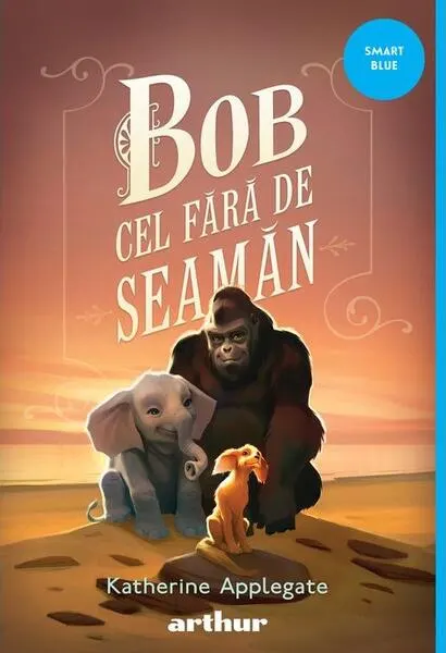 Coperta cărții Bob cel Fără de Seamăn