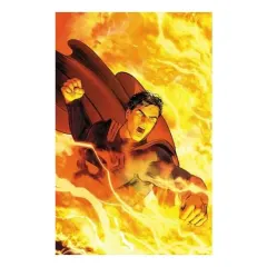 Coperta cărții Superman, Peter J. Tomasi