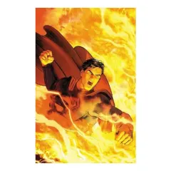 Coperta cărții Superman, Peter J. Tomasi