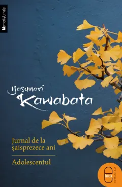 Coperta cărții Jurnal de la saisprezece ani. Adolescentul (pdf)