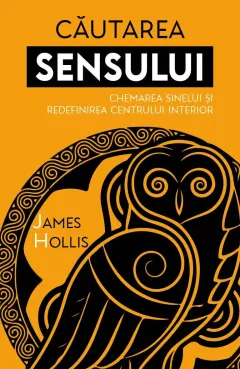 Coperta cărții Cautarea sensului. Chemarea sinelui si redefinirea centrului interior