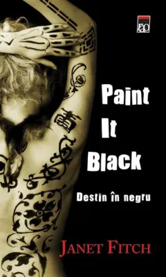 Coperta cărții Paint It Black. Destin în negru