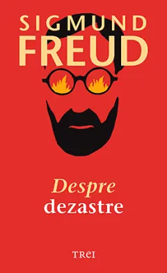 Coperta cărții Despre dezastre