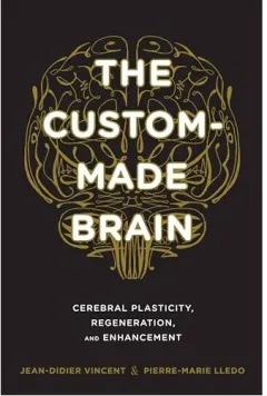 Coperta cărții The Custommade Brain Cerebral Plasticity Regeneration And Enhancement
