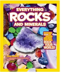Coperta cărții Everything Rocks and Minerals, Steve Tomecek