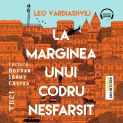 Coperta cărții La marginea unui codru nesfârșit (audiobook)