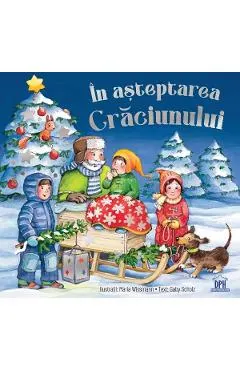 Coperta cărții in asteptarea craciunului - gaby scholz