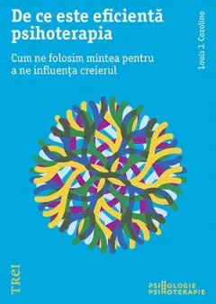 Coperta cărții De ce este eficientă psihoterapia