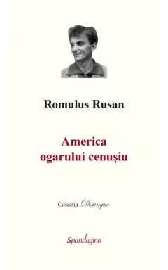Coperta cărții America ogarului cenusiu Ed.2
