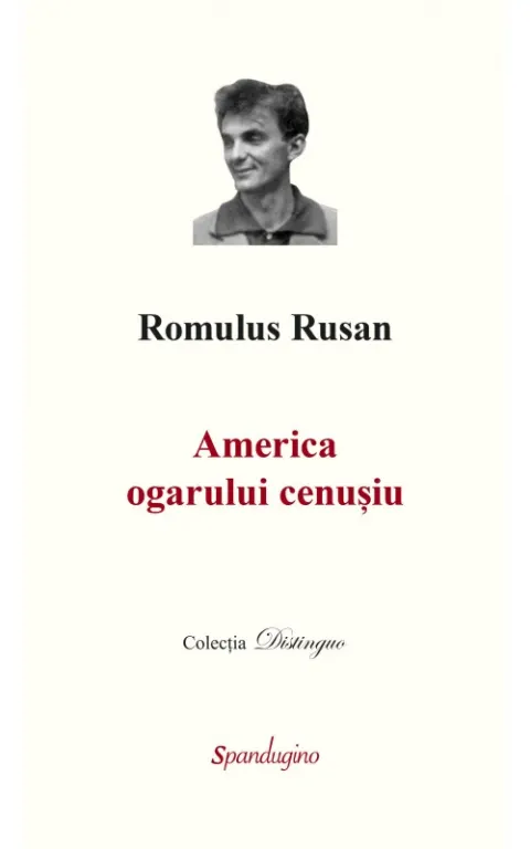 Coperta cărții America ogarului cenusiu Ed.2