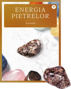 Coperta cărții Turritella. Volumul 9. Energia pietrelor