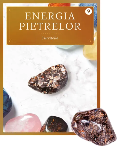 Coperta cărții Turritella. Volumul 9. Energia pietrelor