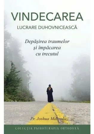 Coperta cărții VINDECAREA - Lucrare duhovnicesca