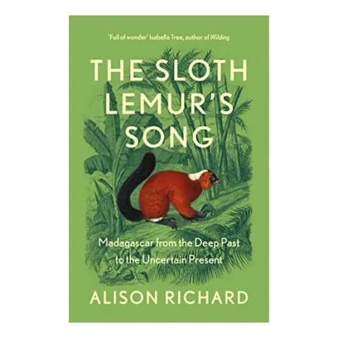 Coperta cărții Sloth Lemur's Song