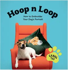 Coperta cărții Hoop N Loop