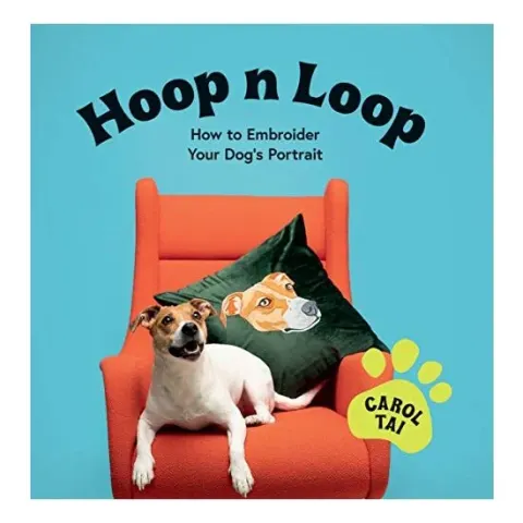 Coperta cărții Hoop N Loop
