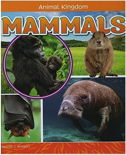 Coperta cărții Mammals, Lisa J. Amstutz
