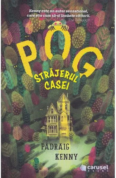 Coperta cărții Pog, strajerul casei