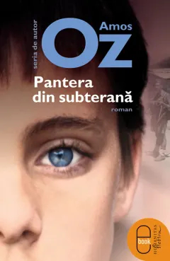 Coperta cărții Pantera din subterana (epub)