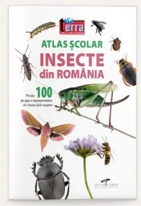 Coperta cărții Atlas scolar. Insecte din Romania. Peste 100 de specii reprezentative din fauna tarii noastre
