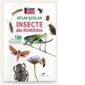 Coperta cărții Atlas scolar. Insecte din Romania. Peste 100 de specii reprezentative din fauna tarii noastre