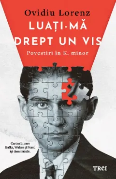 Coperta cărții Luați-mă drept un vis. Povestiri în K. minor